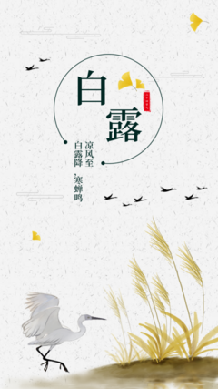 簡(jiǎn)約傳統(tǒng)節(jié)氣白露海報(bào)在線制作軟件_好用的在線設(shè)計(jì)工具-易圖www.egpic.cn
